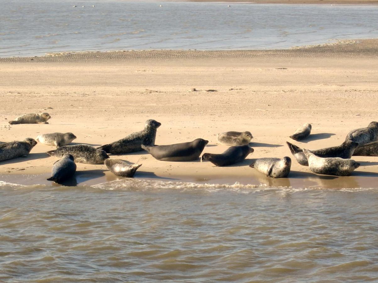 Huus Wattenmeer in Neßmersiel an der Nordsee Dornum Exterior foto